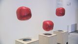 ”動く”作品の展覧会が始まる 世界で活躍するプロ集団「TASKO」の19点を展示 大分 | 大分のニュース|OBS NEWS|大分放送