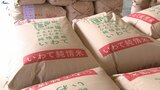 新米の品質検査始まる 主力のもち米「ヒメノモチ」 猛暑の影響懸念も全て“一等米”に 岩手・紫波町|TBS NEWS DIG