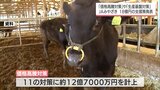 JAみやざきが飼料価格の高騰対策など総額約18億円の支援策を発表|TBS NEWS DIG
