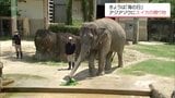 「大暑」を前に 宮崎市の動物園でアジアゾウにスイカのプレゼント | MRTニュース | MRT宮崎放送