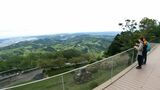 絶景の茶畑ハイキング「一番いい季節」にリフレッシュ=静岡・掛川市 | 静岡のニュース | SBSNEWS | 静岡放送