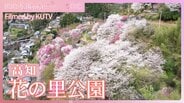 まるで絵本の世界 地域の人たちが作った桜とハナモモの公園【JNN sakuraドローンDIG 2025】|TBS NEWS DIG