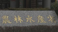 【速報】農林水産物・食品の年間輸出額が1兆2400億円超で“過去最高”に…急速に進んだ円安や欧米での外食需要の回復で輸出が好調| TBS CROSS DIG with Bloomberg