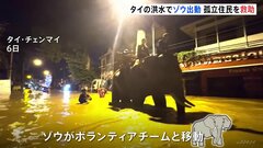タイの洪水でゾウが出動　孤立住民を救助| TBS CROSS DIG with Bloomberg