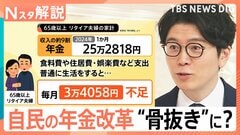 “年金改革法案”国会提出へ 骨抜き批判も本当に安心？ 氷河期世代の大量退職で何が？【Nスタ解説】| TBS CROSS DIG with Bloomberg