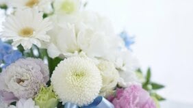 【 訃報 】アニメ監督・演出家 森田浩光さん 死去「サザエさん」「コボちゃん」「いじわるばあさん」など担当|TBS NEWS DIG