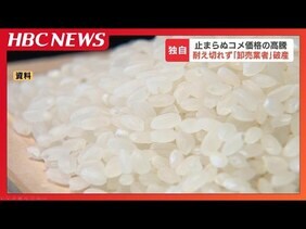 コメ高騰に耐え切れず札幌の「卸売業者」が破産　小売店側からのプレッシャー「安いところを探しますで、取引終了」代理人弁護士が指摘する“立場の弱さ”|TBS NEWS DIG