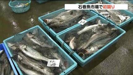 底引き網漁タラなど初競り「2025年10万トン水揚げめざす」宮城・石巻市