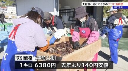 吉浜など3漁協 今季アワビ口開け 1級品が2024年上回る1291.6キロの