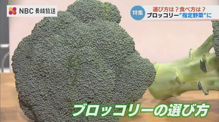 ブロッコリー2026年度から“指定野菜”に追加 生産者おすすめの食べ方