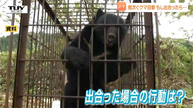 「熊が興奮しテンパったら見境なく襲う」専門家が指摘するクマの習性と、もしもの時の対処法は 市街地に出没する理由は「アクティブなクマの増加」「人の近くはおいしい」|TBS NEWS DIG