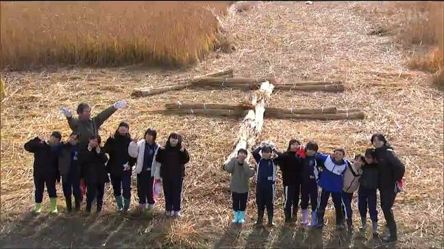 「北上のヨシ原はきれいだなと思う」小学生が3メートルほどに育ったヨシの刈り取りを体験 宮城県・石巻市|TBS NEWS DIG