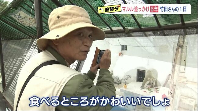 毎日、開園と同時に入園→ホッキョクグマを4時間観察→帰宅後SNSで発信　今では「マルルの行動は大体わかる」男性の1日|TBS NEWS DIG