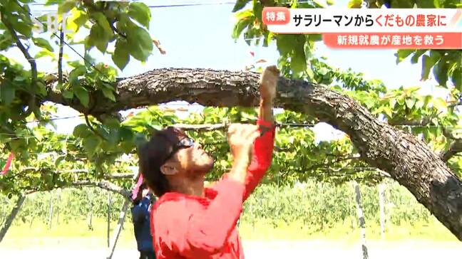 「働いている姿を子どもに見せられるっていいな」41歳で果樹農家に転身した男性　支えるのは「師匠」　果樹農家の後継者不足が顕著　「新たに農業に取り組んでくれる人は増やせる」長野・安曇野市|TBS NEWS DIG