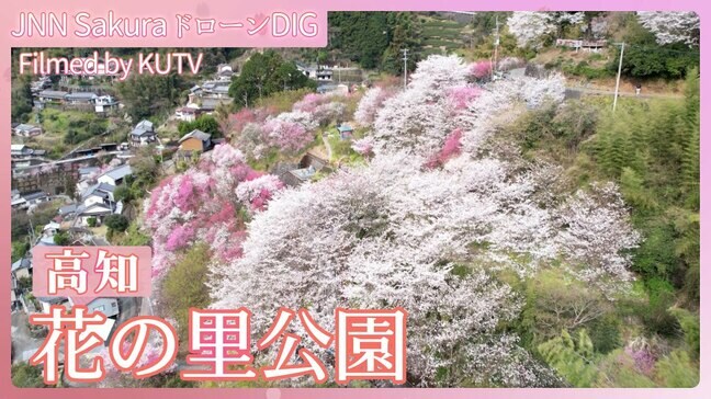 まるで絵本の世界　地域の人たちが作った桜とハナモモの公園【JNN sakuraドローンDIG 2025】|TBS NEWS DIG