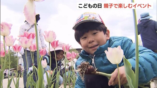 ゴールデンウィークもあと2日　見ごろを終えた800本のチューリップをみんなで抜き取ろう！ 　新潟|TBS NEWS DIG