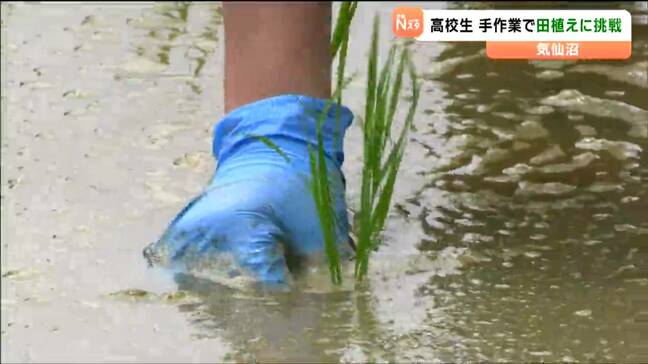 昔ながらの手作業　高校生が田植え体験　宮城・気仙沼市|TBS NEWS DIG