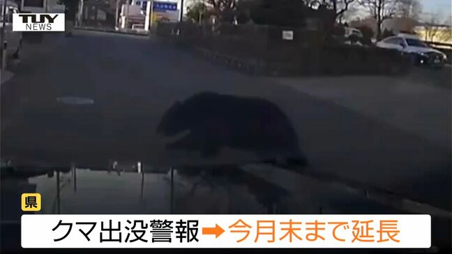 【動画】中学校の敷地内にクマ 車の目の前を横切り...山形市富の中、南館、あかねヶ丘などでクマの目撃情報相次ぐ 県は「クマ出没警報」を12月末まで延長(山形市)|TBS NEWS DIG