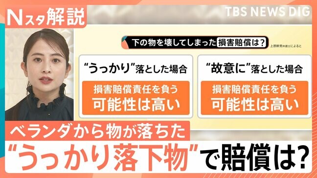 「ナイフが落ちてきた」マンションから包丁落下か　ベランダからの“うっかり落下物”は罪に問われる？【Nスタ解説】|TBS NEWS DIG