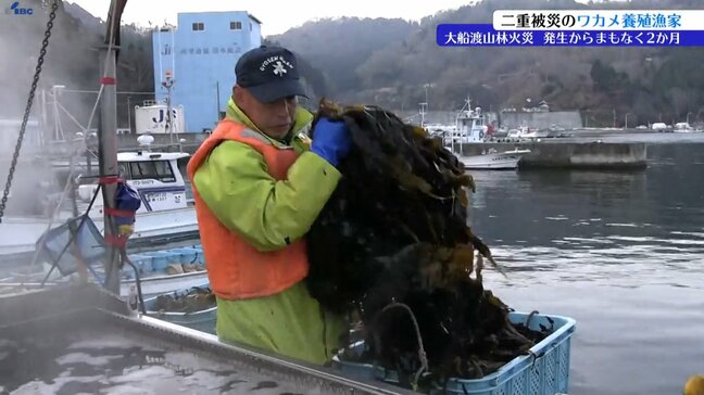 東日本大震災と大船渡市山林で二重被災したワカメ養殖漁家の思い　岩手|TBS NEWS DIG
