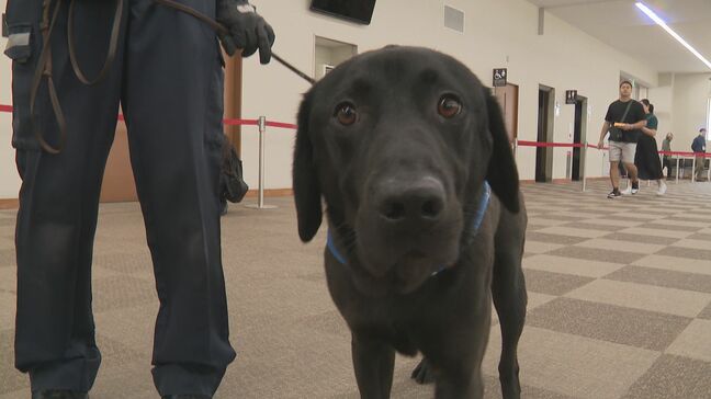 麻薬探知犬「ボルト号」を投入《函館港》クルーズ船の寄港シーズン到来で…不正薬物や金の密輸警戒　《新千歳空港》3月までに入国した外国人の所持品などから11件の不正薬物事犯を摘発|TBS NEWS DIG