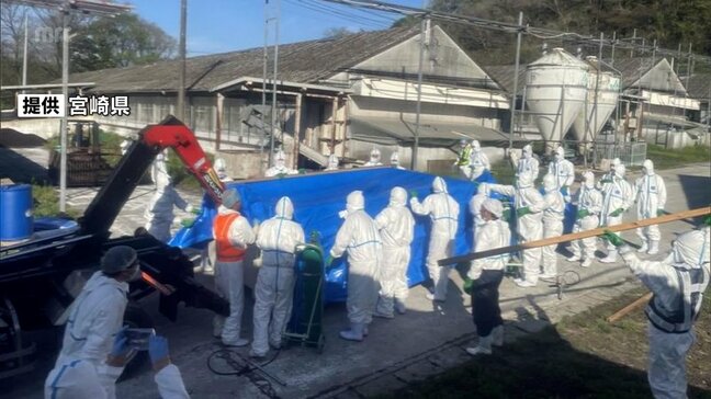 都城市の養豚場で「豚熱」　約5500頭の殺処分は13日中に完了の見込み|TBS NEWS DIG