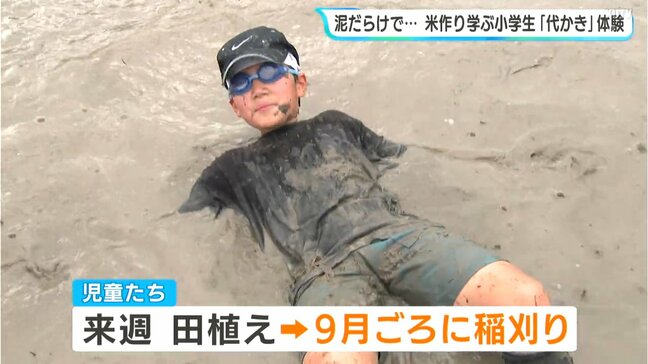 全身泥だらけで「どんどん沈む」小学生が田んぼで"代かき"体験　田植え前の“最後の仕上げ”ボール遊び・かけっこも満喫【高知】|TBS NEWS DIG