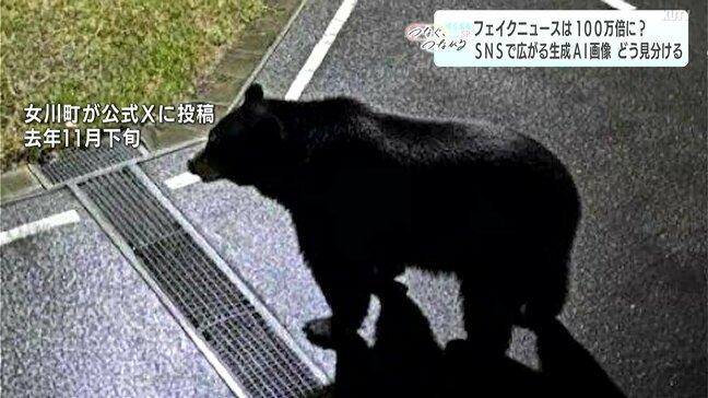 クマ出没の画像、本当?嘘?見破れますか?フェイクニュースは“10年で100万倍増”騙されないコツを専門家に聞いた【AI×SNS 防災アップデート】|TBS NEWS DIG