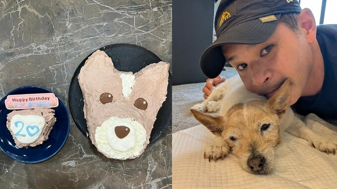 【 いぬ 】照英さん「愛犬テン20歳の誕生日」 “人間換算で96～100歳” 「本当に本当におめでとう！」フォロワーからも祝意多数|TBS NEWS DIG