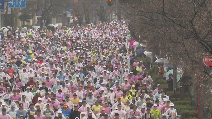 1万３０００人超のランナーが快走 ふくい桜マラソン２０２５　|　石川県のニュース｜MRO北陸放送