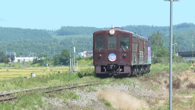 緑豊かな景色の中を走る観光列車「富良野・美瑛ノロッコ号」