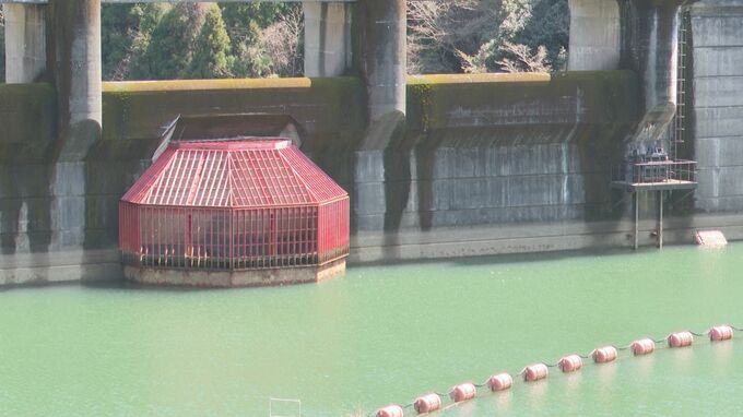 熊本県天草市 “渇水”の危機脱出　ダム貯水率50％超えるも「引き続き節水を」|TBS NEWS DIG