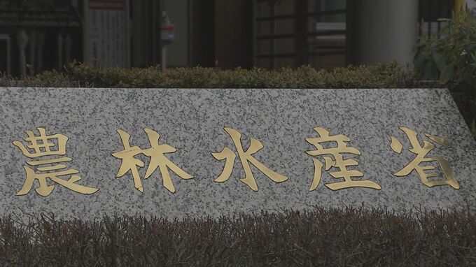 【速報】農林水産物・食品の年間輸出額が1兆2400億円超で“過去最高”に…急速に進んだ円安や欧米での外食需要の回復で輸出が好調