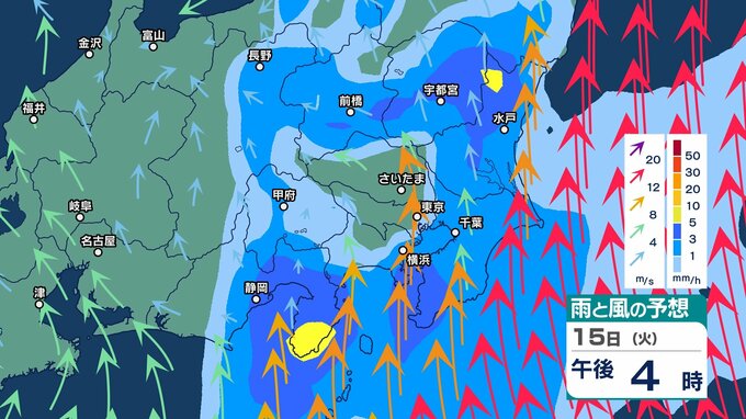 【大雨情報】関東甲信や東海地方で「大雨」の天気となる可能性　17日（木）にかけてかかり続ける雨雲　今後の24時間の降水量が100ミリ予想も【雨と風の予想シミュレーション・気象庁の最新情報あり】|TBS NEWS DIG