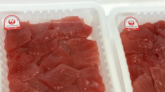 沖縄で水揚げの生鮮マグロ、水揚げ24時間以内に都内スーパー店頭へ 「冷凍しない」鮮度保持技術で可能に|TBS NEWS DIG