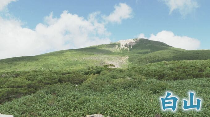 山の日の白山・高山植物など夏山ならではの大自然の魅力|TBS NEWS DIG
