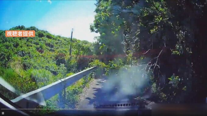 運転中、目の前に大きな木が倒れてきた…間一髪あわやの瞬間をドライブレコーダーがとらえた　|　BSSニュース | BSS山陰放送