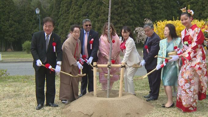 インドと日本の友好の証　猪苗代町で駐日大使がサクラ植樹　コロナで中断、4年ぶり20か国目　福島|TBS NEWS DIG
