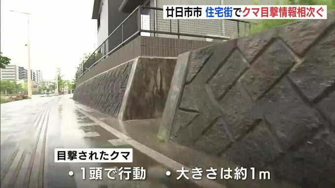 「高校の塀を乗り越えていった」廿日市市でクマの目撃情報相次ぐ　警察がパトロール実施　広島|TBS NEWS DIG