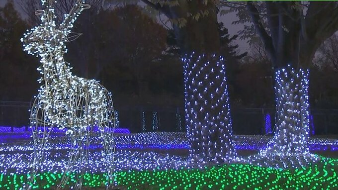 LED80万球で「スイスの森の冬景色」　県内最大級イルミネーション始まる　山梨・ハイジの村　|　山梨のニュース | ＵＴＹテレビ山梨