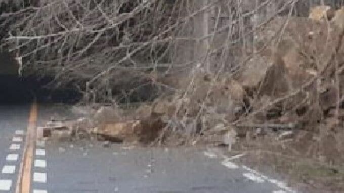 「岩と大木が道路を塞いでいる」１m程の岩など国道に崩れ通行止め　広島|TBS NEWS DIG