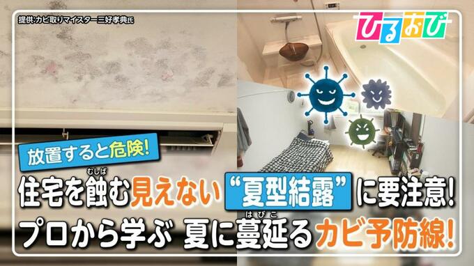 夏も危険な「カビ」見えない“夏型結露”に要注意！壁の中のカビを見抜くサインは？プロに聞きたいカビの疑問【ひるおび】|TBS NEWS DIG