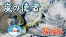 【嵐の使者】居座る強い寒波 3連休まで断続的に　内陸でも積雪予測…関東甲信 60センチ、東海近畿で50センチ、北陸は70センチ【雪と雨のシミュレーション】上空5500メートルに36℃以下の寒気|TBS NEWS DIG