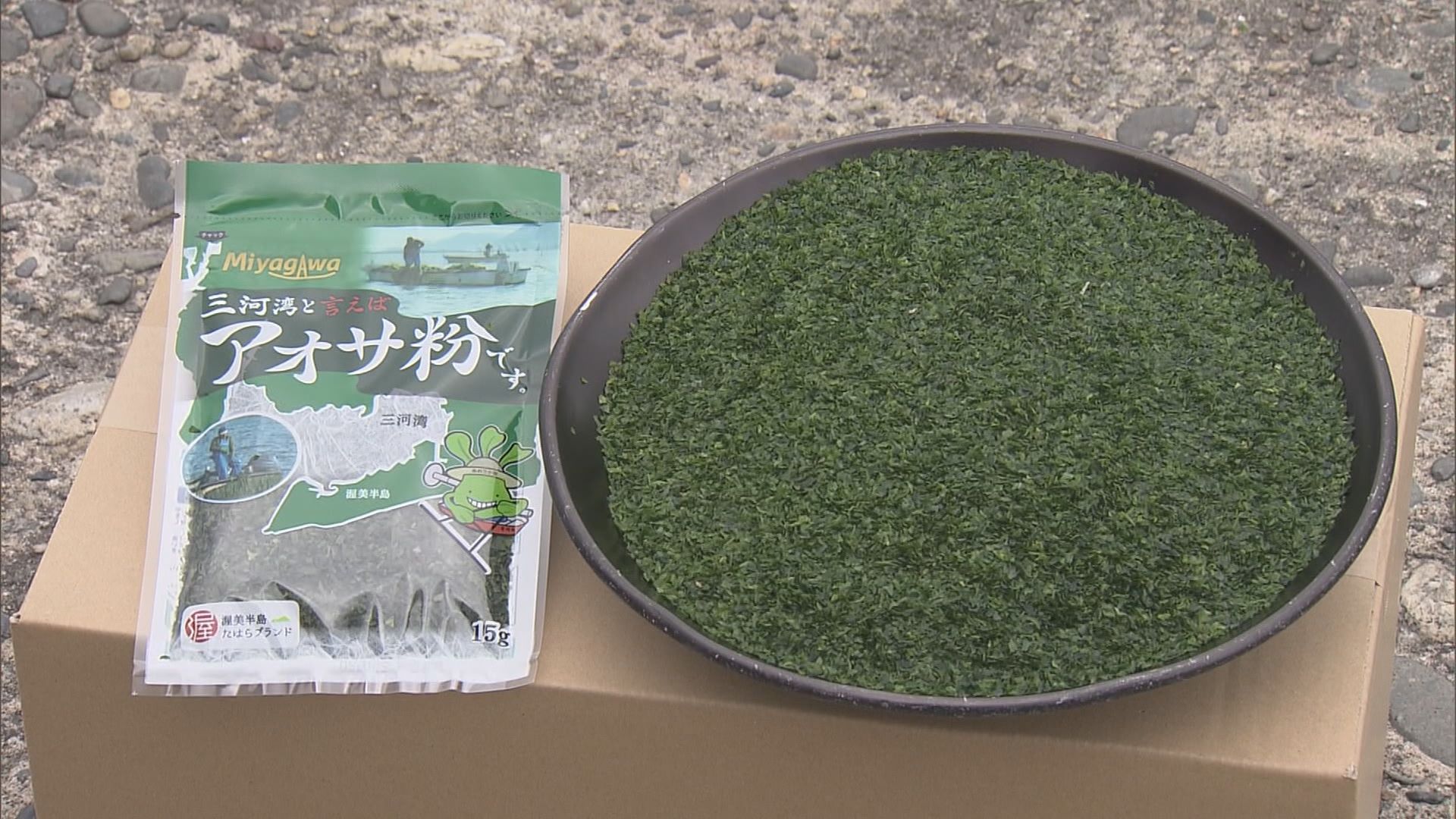 たこ焼きやお好み焼きに振りかけるアオサ粉の原料 「アナアオサ」の水揚げ作業が始まる　愛知・田原市