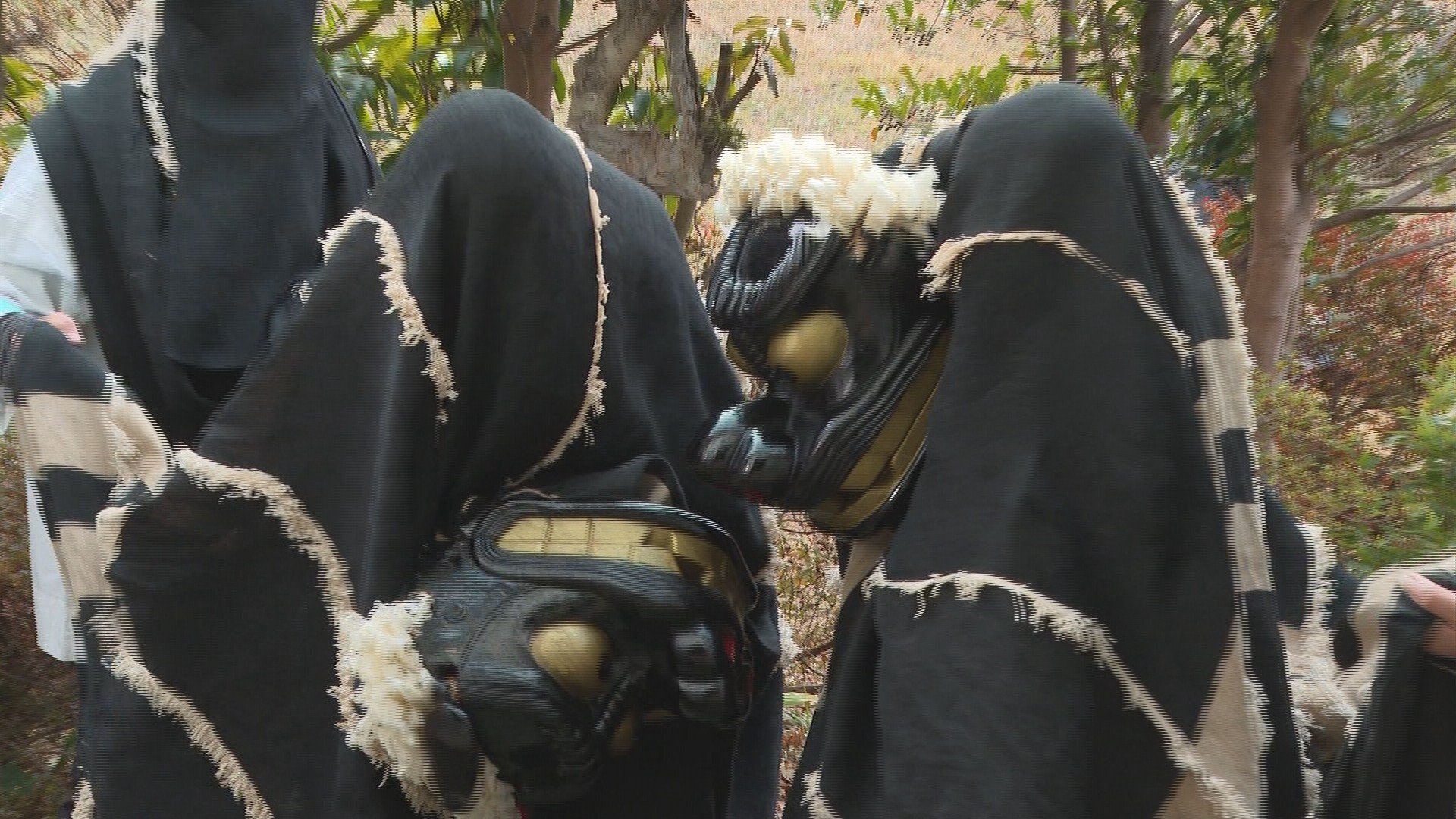 4年ぶり町に繰り出す“渡り” 大鏑矢神社の夫婦獅子舞 福島・田村市