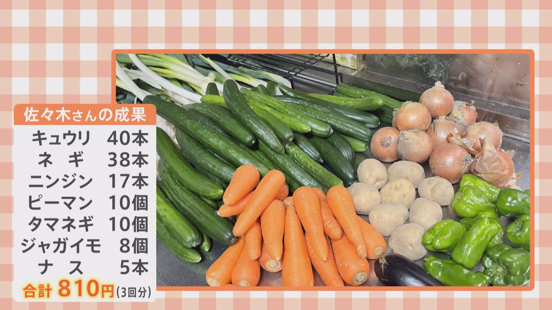 タマネギは11円！？こんにゃくゼリーも11円！？野菜の詰め放題は、どれだけ取っても270円！値上げと闘う激安ス…
