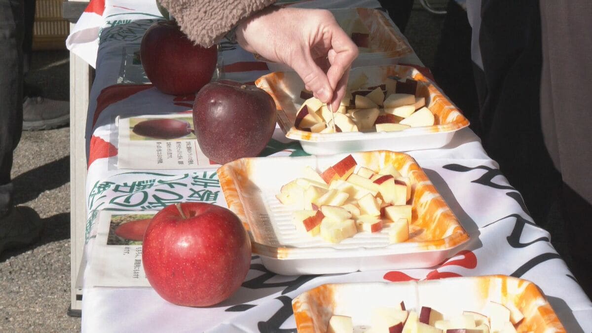 寒暖差を生かして栽培される｢飛騨りんご｣ 道の駅で旬を迎えた11品種の食べ比べ 次回の試食販売は11月6日 岐阜・高山市