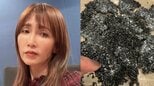 【 工藤静香 】 「ゴマゴマクッキー」のレシピ公開　「ビタミンEおやつはいかがですか？」　手作りおやつを紹介|TBS NEWS DIG