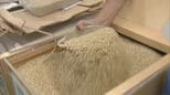 コメ価格の高止まりが続く中で新米販売 北九州市の直売所で「新米まつり」|TBS NEWS DIG