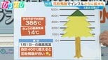 「スギ花粉」今年は多い！？ 花粉飛散でさらなるインフル拡大も…注意点・対策は【ひるおび】|TBS NEWS DIG
